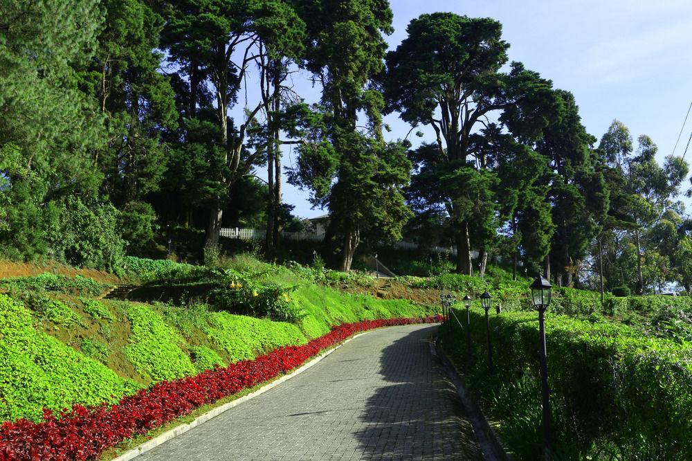 The Firs Villa นูวาราเอลิยา ภายนอก รูปภาพ