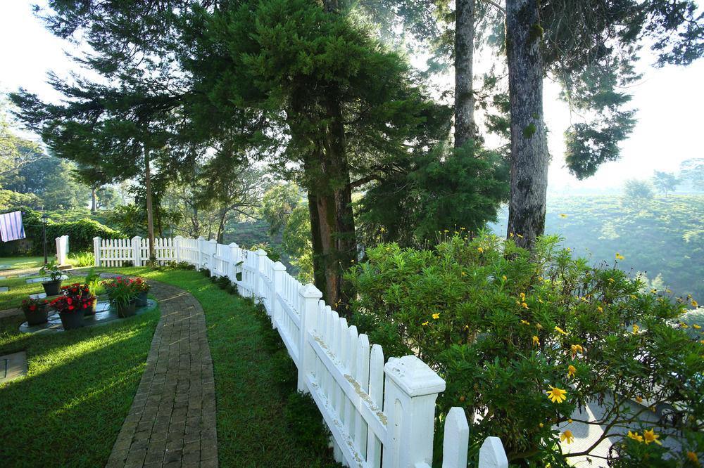 The Firs Villa นูวาราเอลิยา ภายนอก รูปภาพ