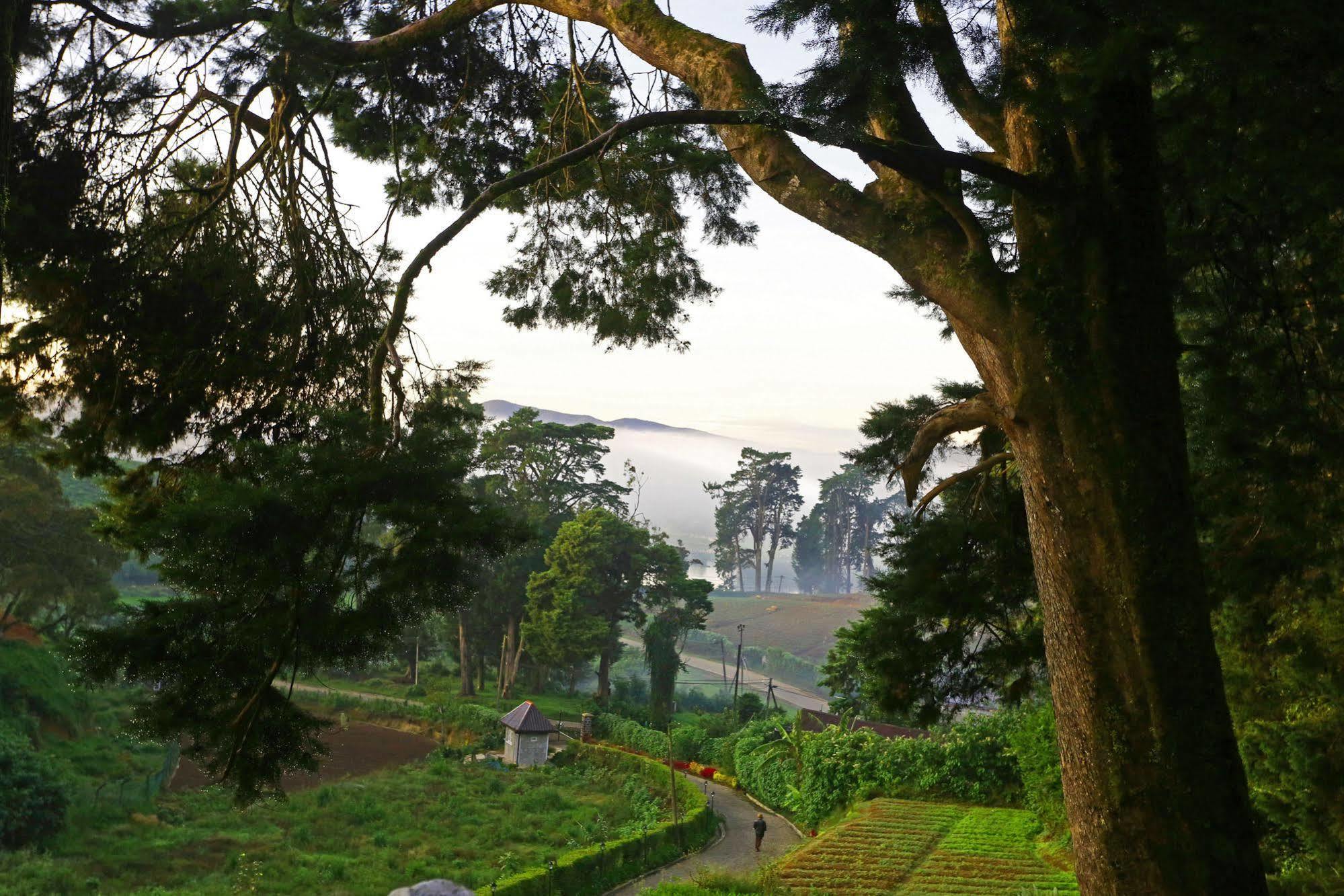 The Firs Villa นูวาราเอลิยา ภายนอก รูปภาพ